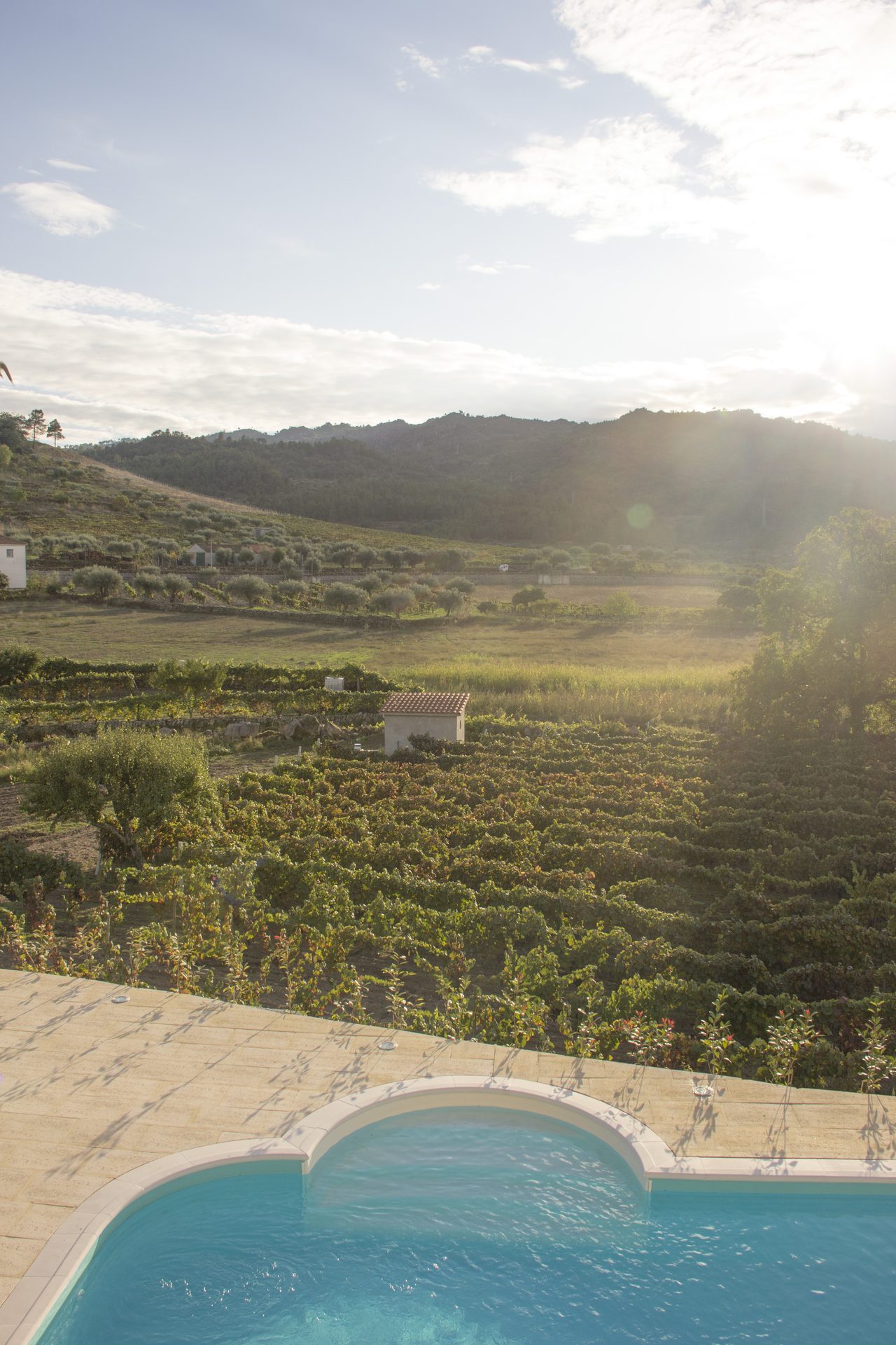 Paisagem envolvente da Quinta do Palame