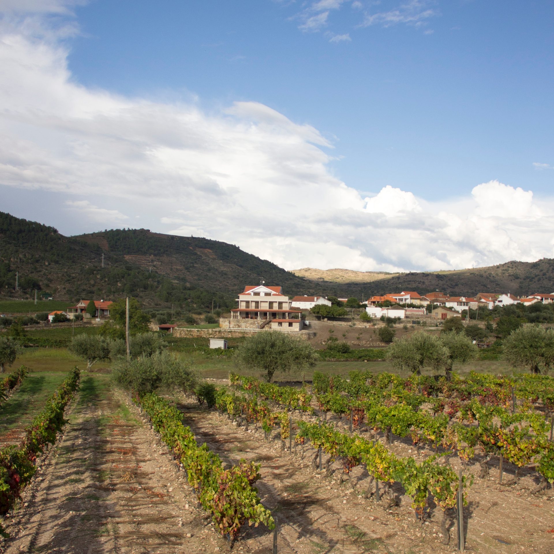 Vista da Quinta do Palame
